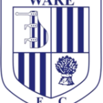 威尔队标